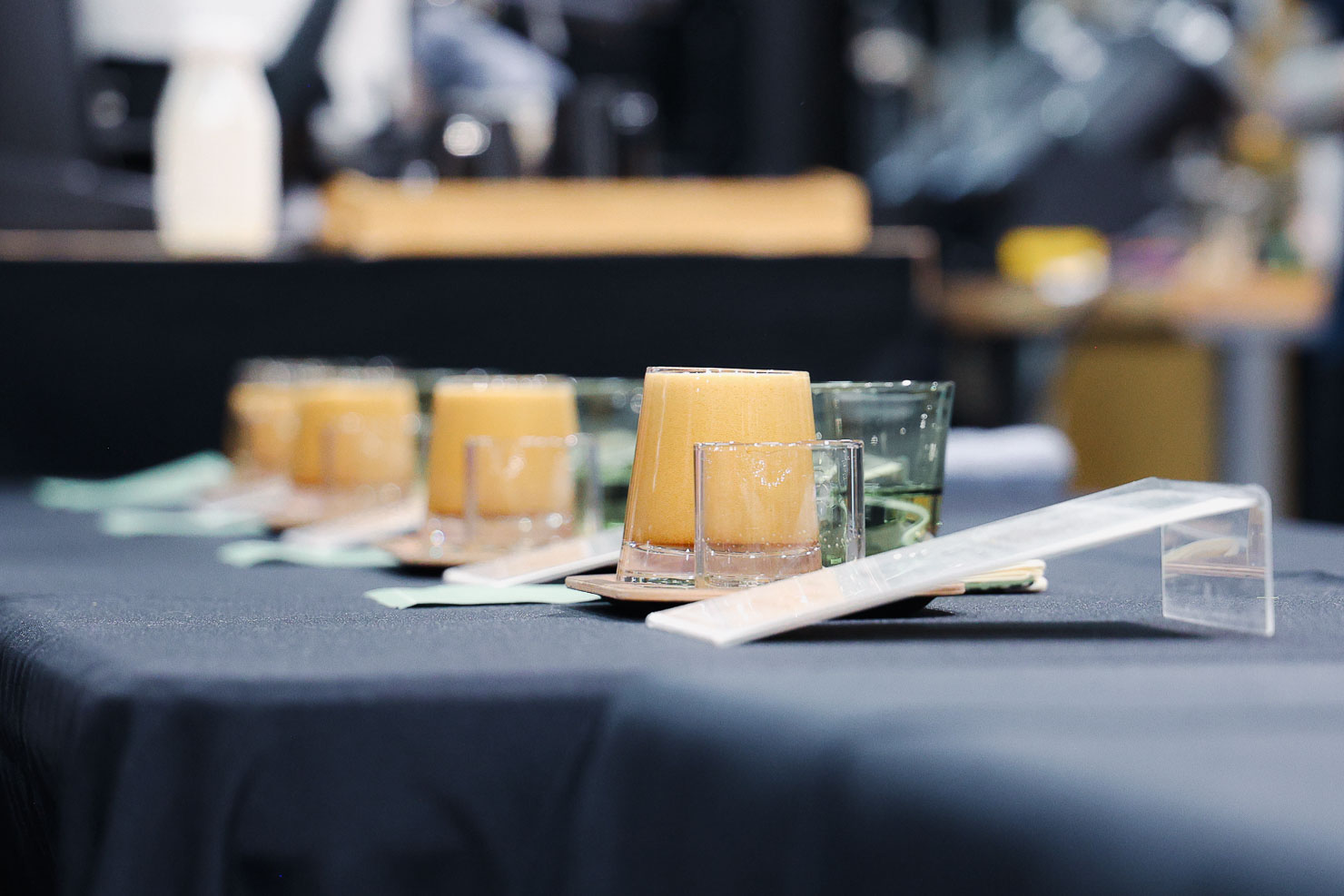 circle chan the coffee movement san francisco ca usbc 2025 finals sprudge media 01