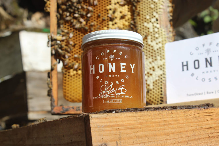 coffee blossom honey title image