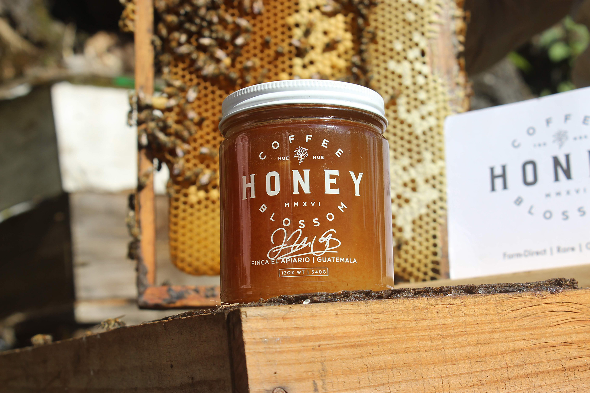 coffee blossom honey title image