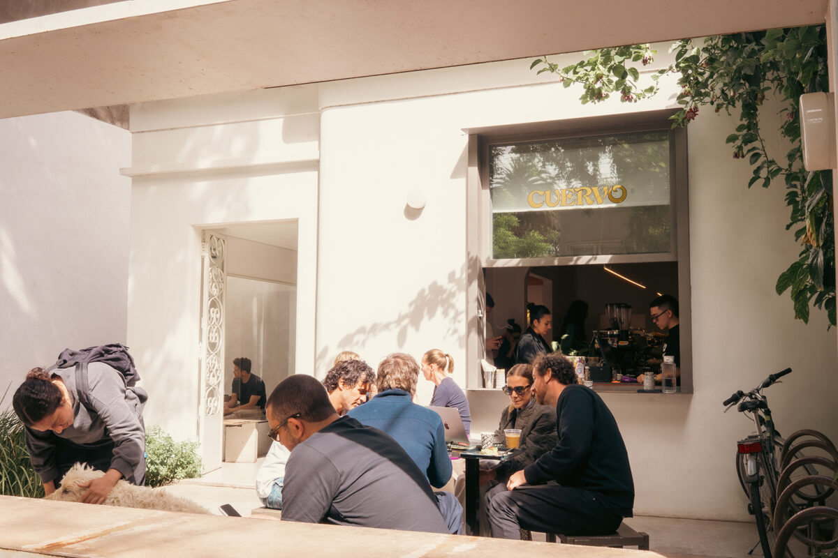 coffeeguide cuervo julianhilale04