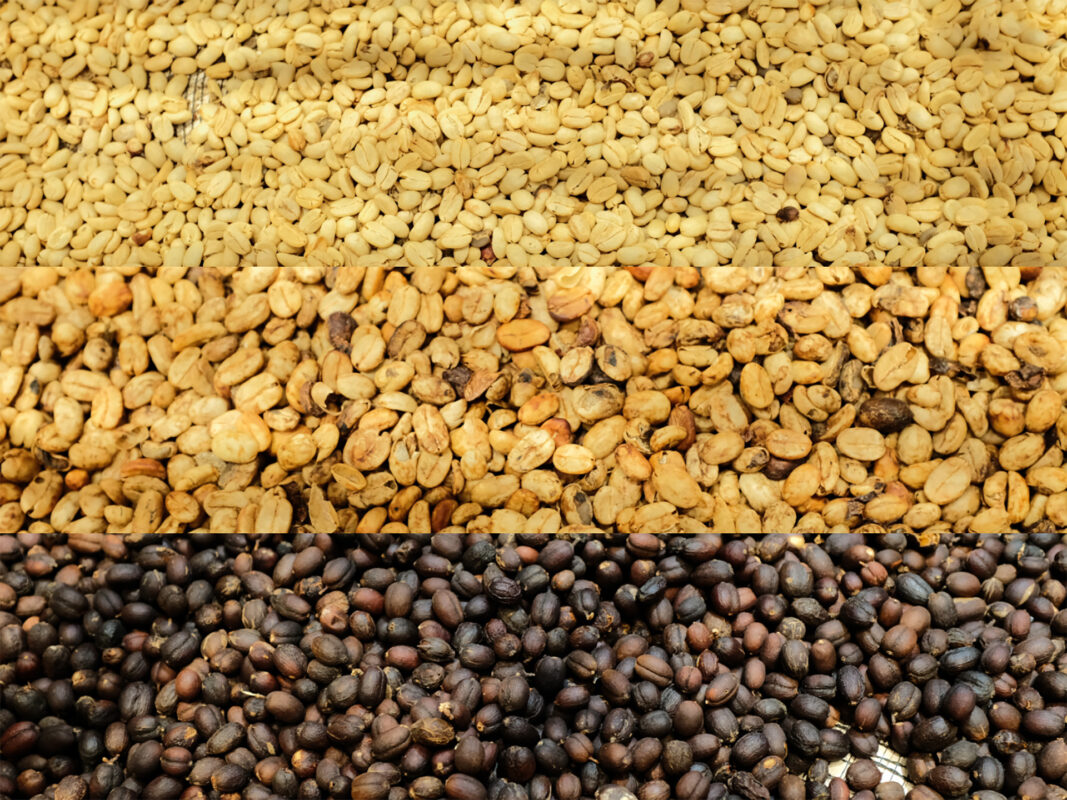 collage washed honey natural 01 tung nguyen