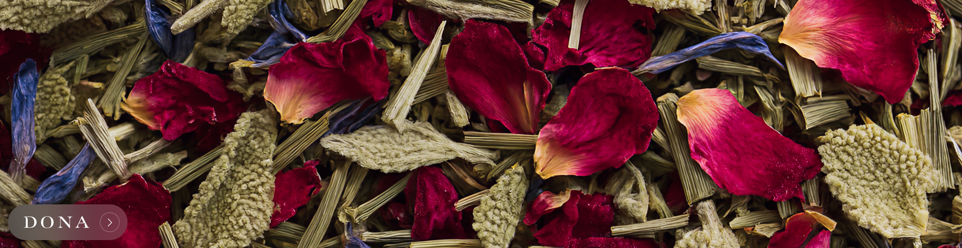 banner advertising DONA