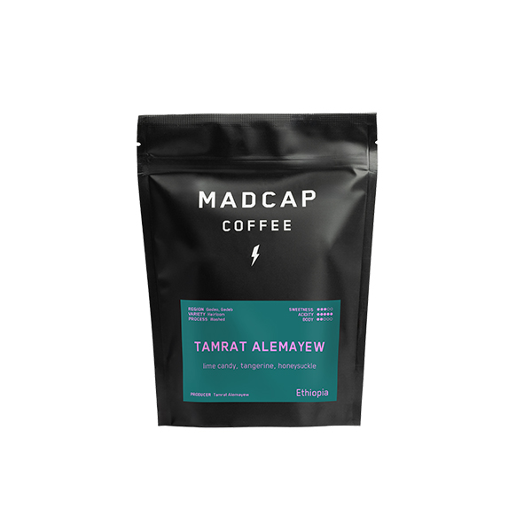 madcap coffee tamrat alemayew sprudge roaster's village