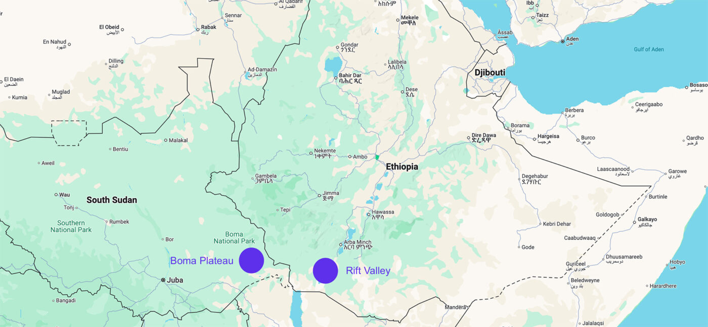 maps of c.arabica origin tung nguyen