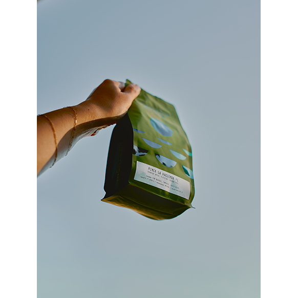 Night Swim Coffee La Hacienda F1 Sprudge Roaster's Village