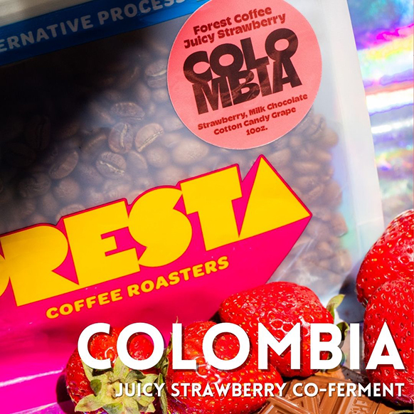 Presta Coffee Colombia Juicy Strawberry Co-ferment Sprudge Roaster's Village
