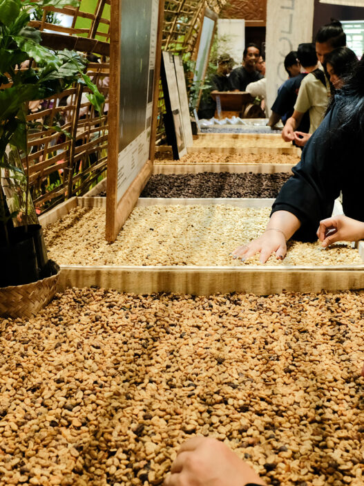 producer village woc jakarta 01 tung nguyen