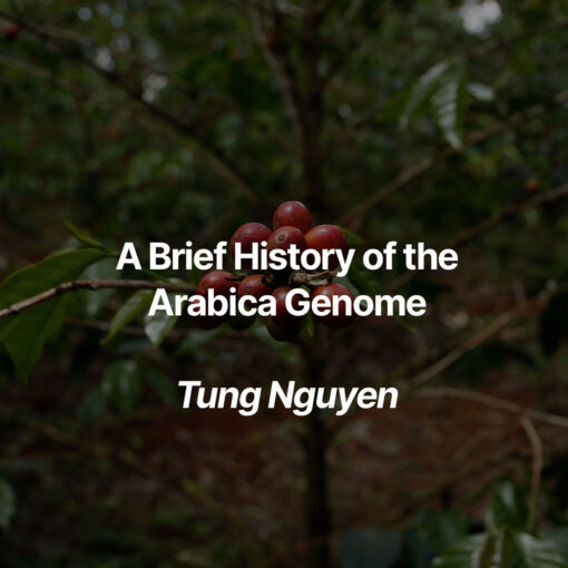 spd arabica genome