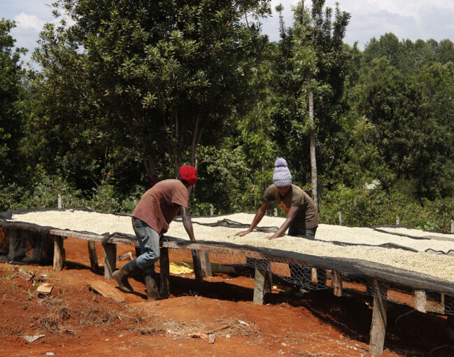 technology on coffee farms 1