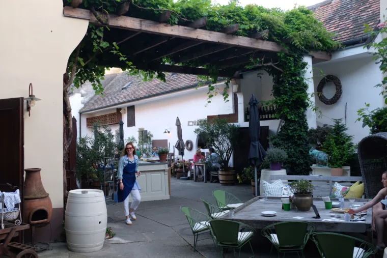 natural wine gut oggau heuriger michael butterworth 9